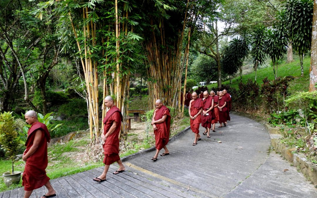 Burmese Temporary Monkhood Programme | Sāsanārakkha Buddhist Sanctuary